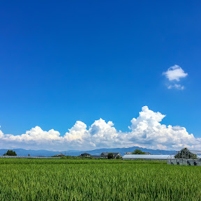 �������� / Shota Iizuka YouTube