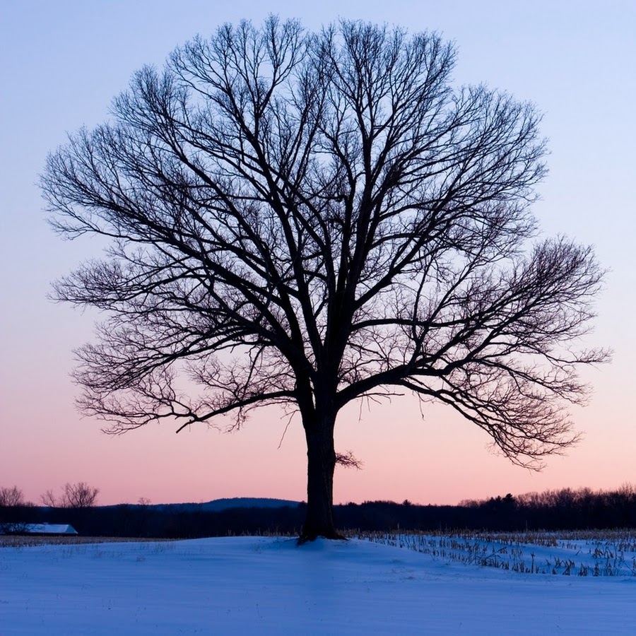 Магнитный пазл 27x18см."Зима, снег, покрытый снегом" на холодильник купить с д
