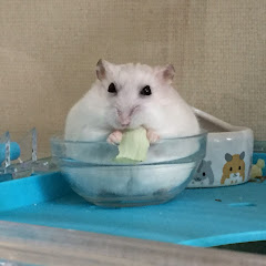ツキガク