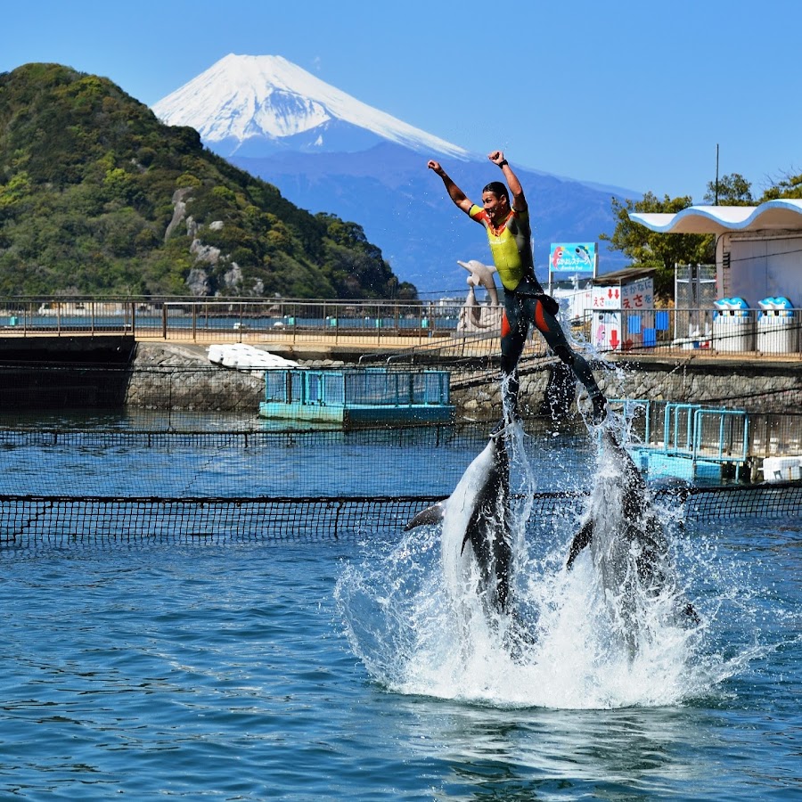 伊豆・三津シーパラダイス YouTube