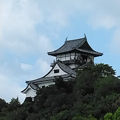抹茶ミルク