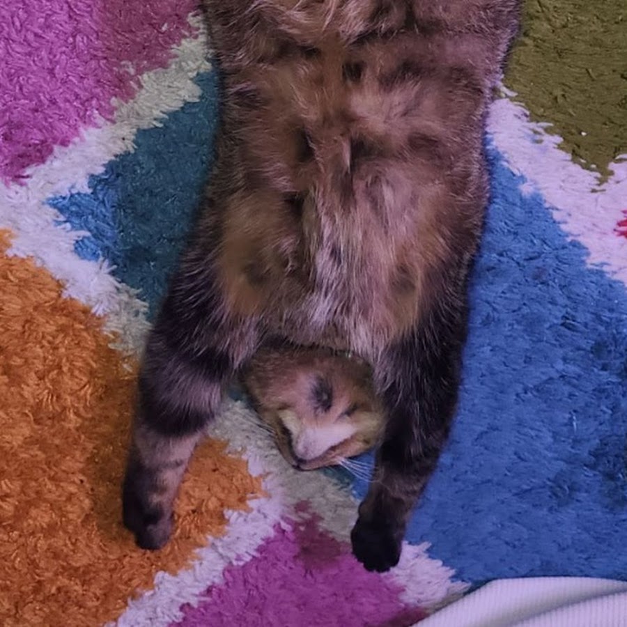 Валентина емец корнюшина на фото друзей