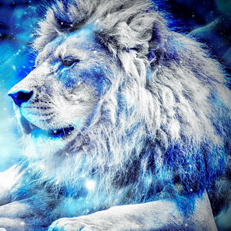 Blue - Lion - YouTube