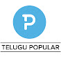 Telugu Popular TV