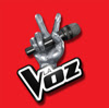 What could La Voz / The Voice of Spain buy with $312.09 thousand?