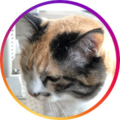 つっつんチャンネル.