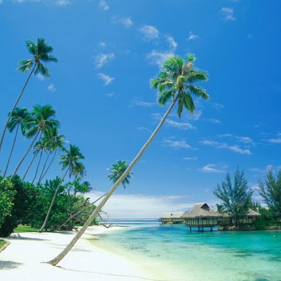 Simple image gallery. Simple image gallery