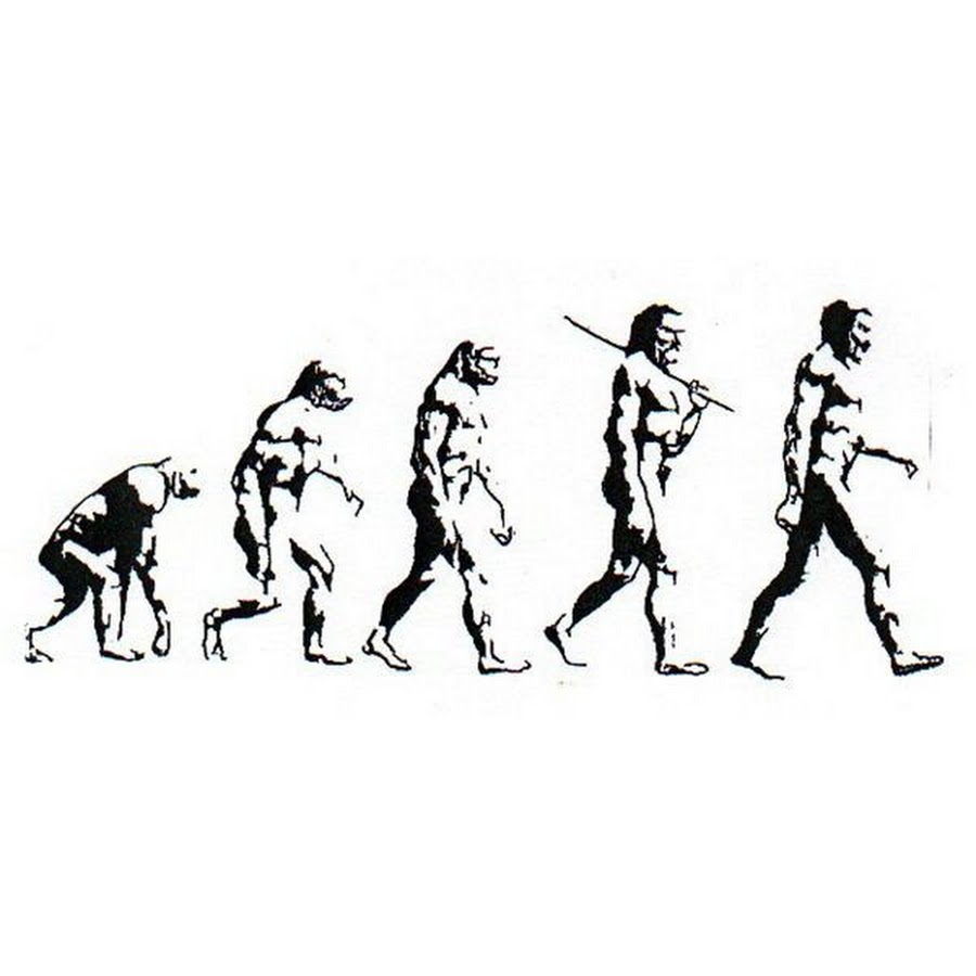 Дж эволюция. Эволюция человека. Эволюция иллюстрация. От обезьяны к человеку. Эволюция человека от обезьяны.
