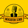 What could Mikrofon Sende buy with $360.6 thousand?