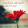 Mariam Moaz