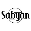 What could Sabyan Channel buy with $3.16 million?