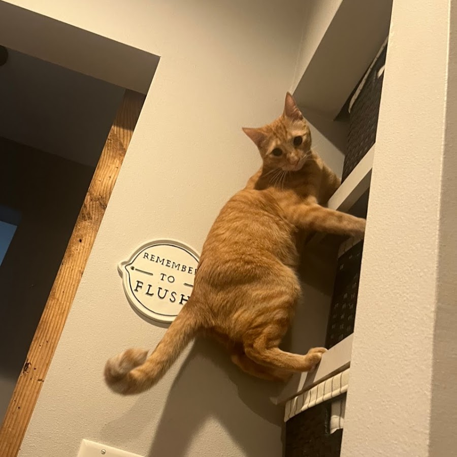 Gacha Queen 97 - YouTube