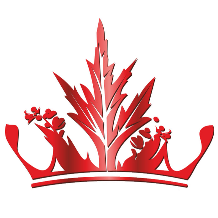 Алена Полынь Net Worth & Earnings (2026)