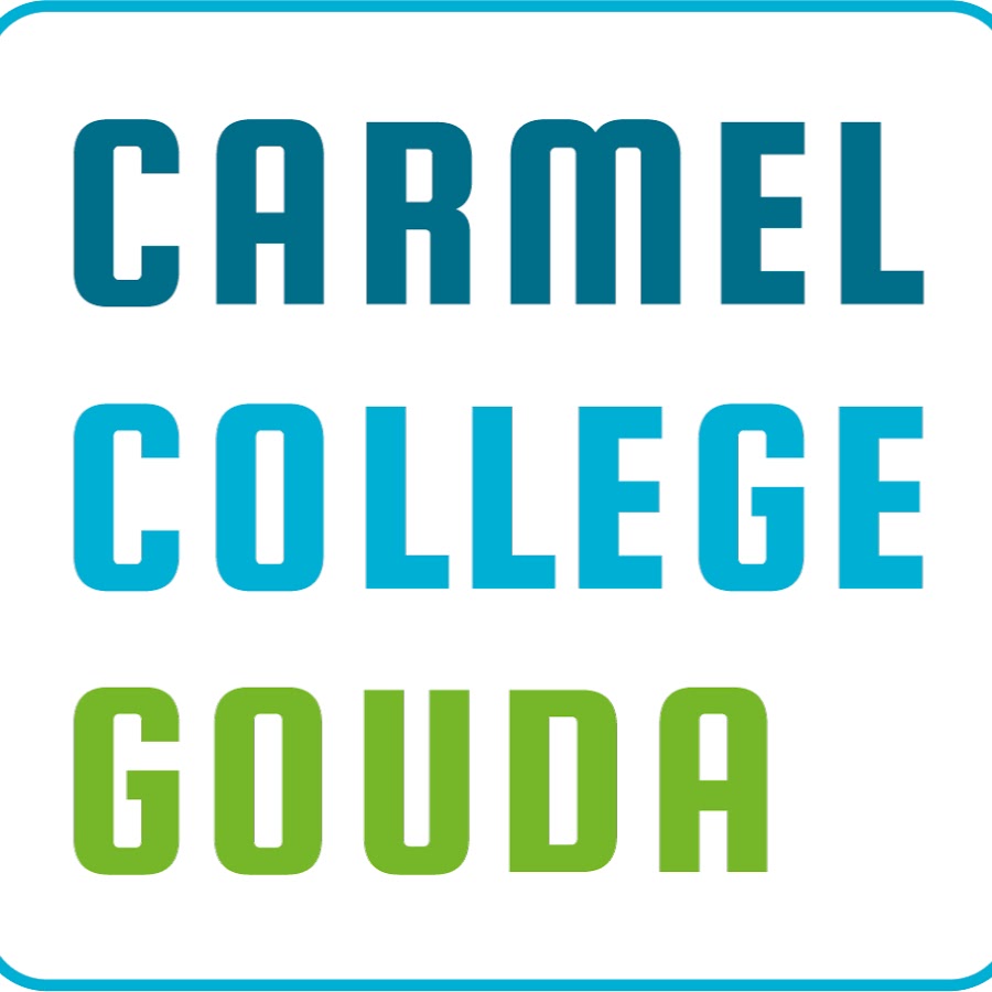 Carmelcollege Gouda LinkedIn