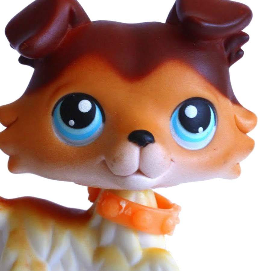 фигурки littlest pet shop зефирные питомцы e1074. купила девочка петы. Lps littlest pet shop 22. Lps хаски #2110. лпс сейдж.