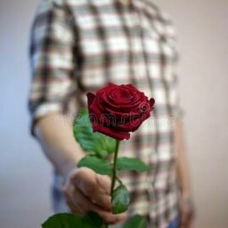 Можно дарить один цветок. Мужчина с розой. Цветы в руках мужчины.