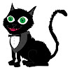N2 Cat Crew Vlogs