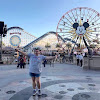 rebechi_gonedisney