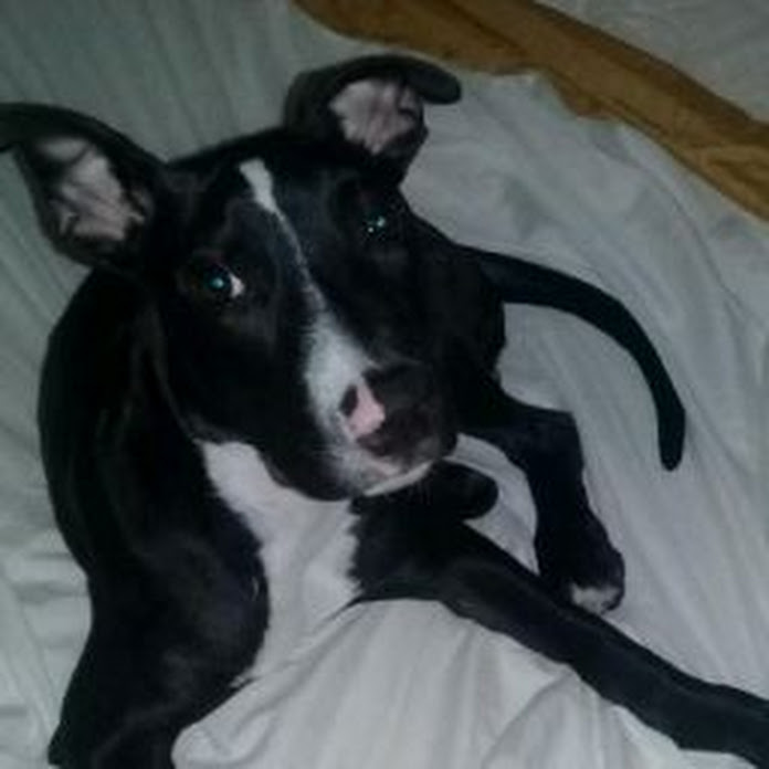 YULIANA L&A LLOREDA Net Worth & Earnings (2026)