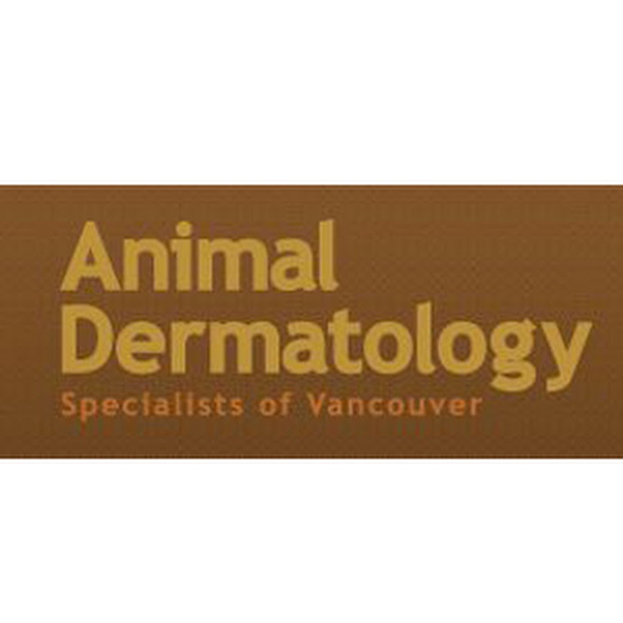 Animal Dermatology Specialists of Vancouver YouTube