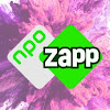 What could NPO Zapp buy with $371.31 thousand?