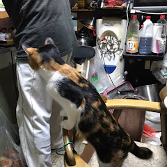 山中大