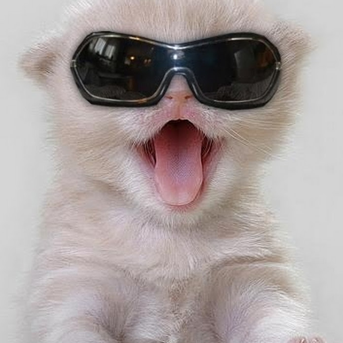 JudiMakeFun Net Worth & Earnings (2026)