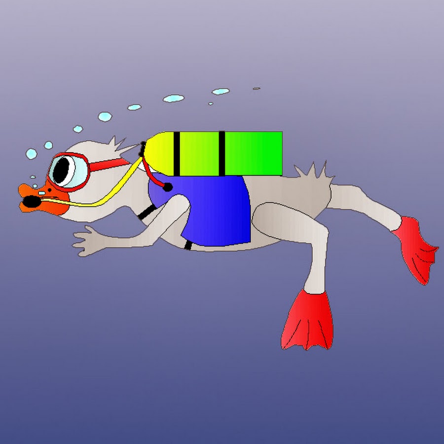 Diving Duck YouTube