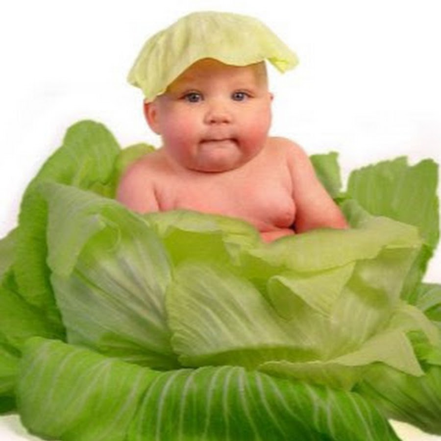 Малыш в капусте рисунок