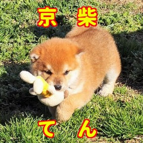 �Ƥ�����ͥ� YouTube