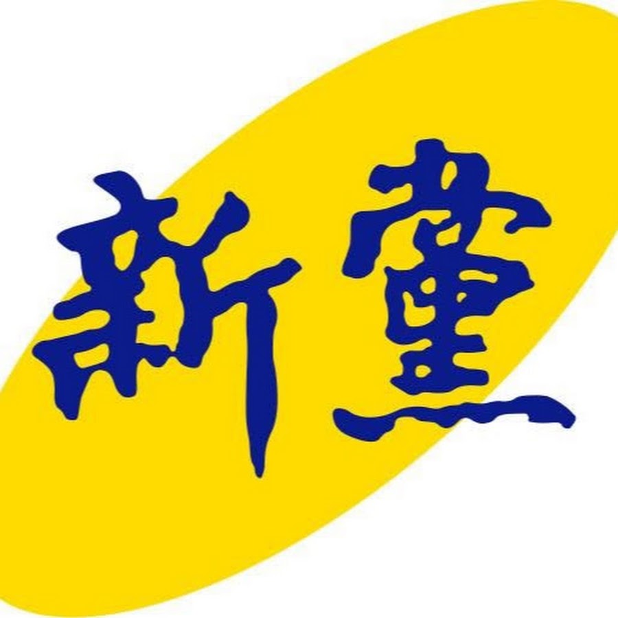 新黨 YouTube