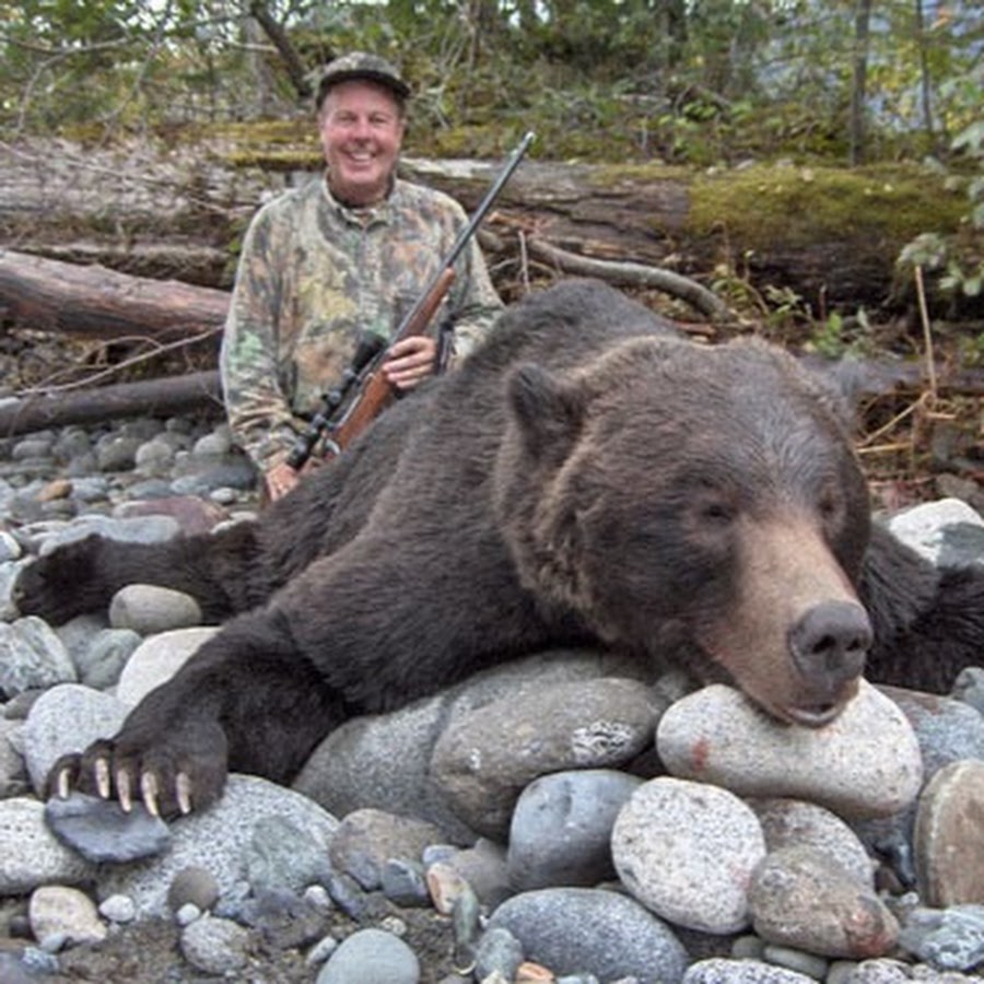 Самый большой медведь гризли людоед. Самая большая росомаха. Медведь кадьяк. Сколько килограмм белый медведь. Огромный медведь в тайге.