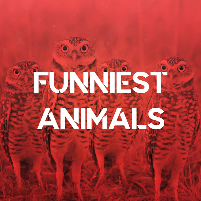 Funniest Animals Net Worth & Earnings (2022)