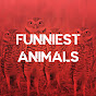 Funniest Animals