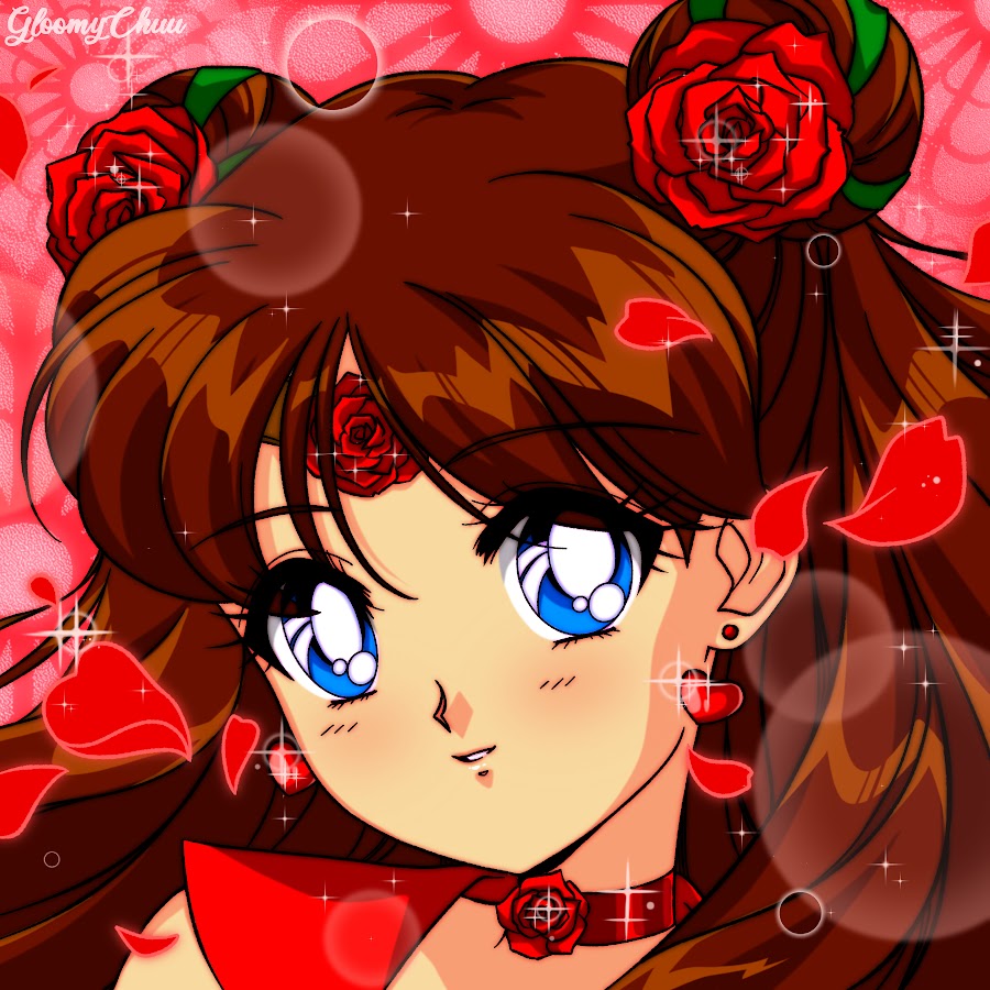 Bae. Картинка юми. Sailor rose. Sailor rose. Эми леди хеджхог.