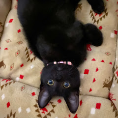 みちゃそ