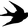 Sparrowmind
