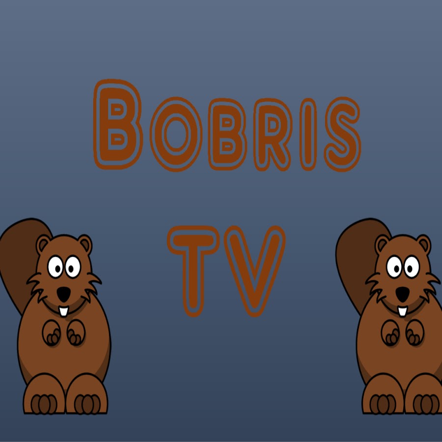 Bobris TV - YouTube