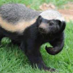 やらかし山ちゃんねる