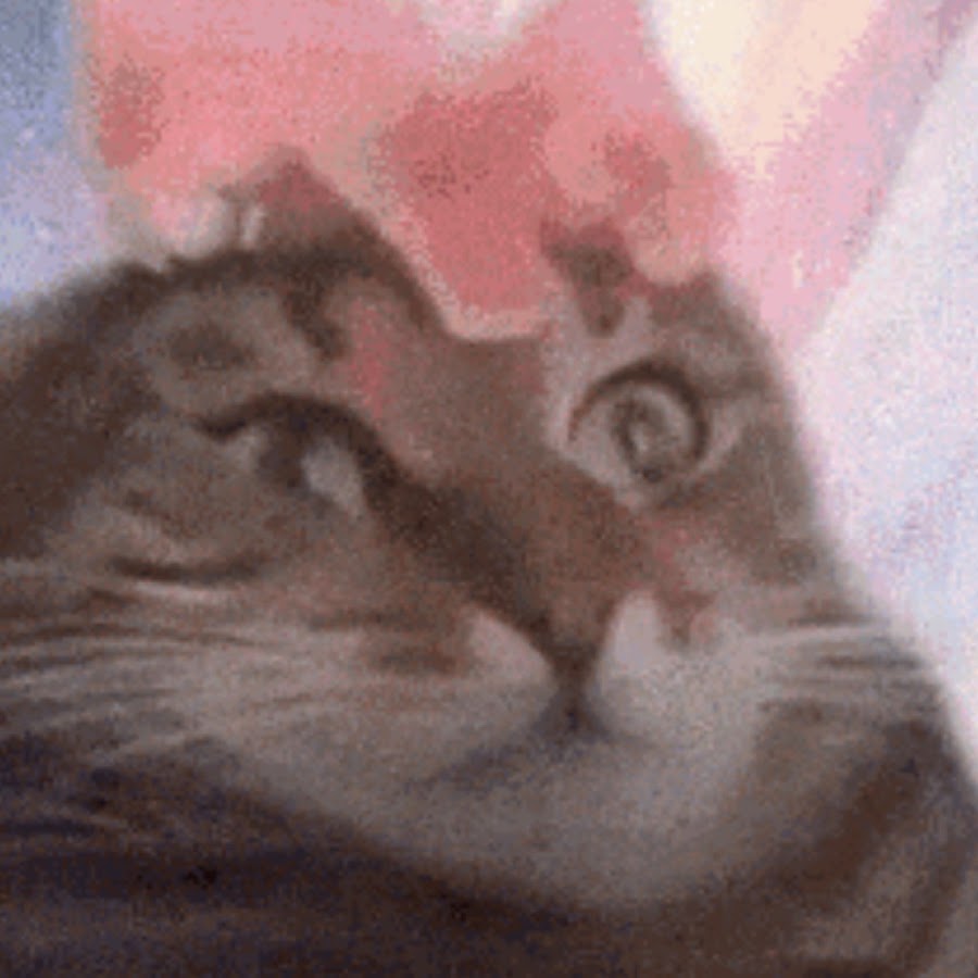 Gravy Cat Gorl YouTube