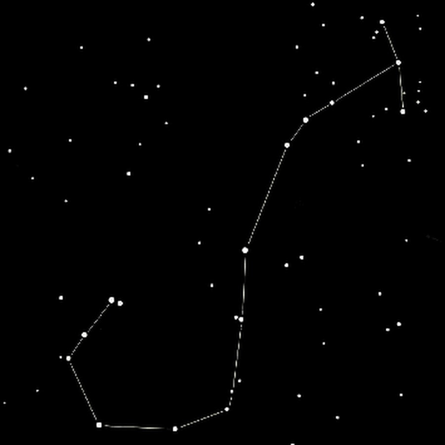 Созвездие constellation 2024. Зодиакальное Созвездие Скорпион. Астеризм скорпиона. Антарес в созвездии скорпиона. Созвездие Скорпион Стеллариум.