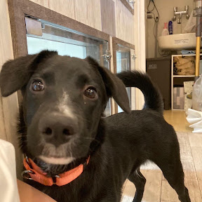 �ϥॳ�� YouTube