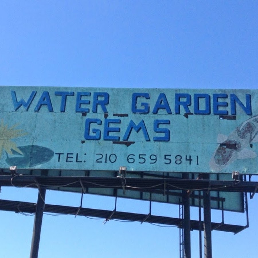 Water Garden Gems Youtube