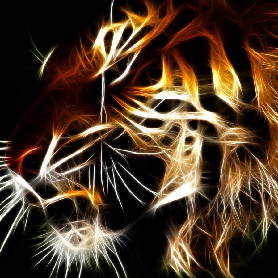Tiger Magic - YouTube