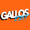 What could Gallos Edit buy with $914.67 thousand?