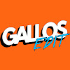 What could Gallos Edit buy with $914.7 thousand?