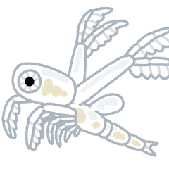みじんこ微生物