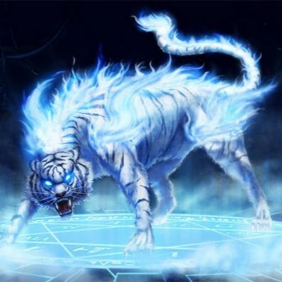 White Tiger Gaming - YouTube