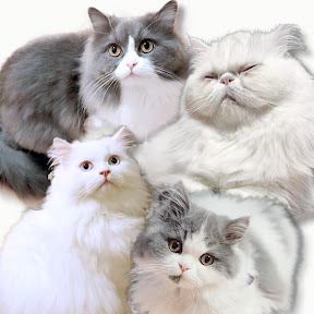 �ޡ�����ȥ��Ф�ǭ YouTube