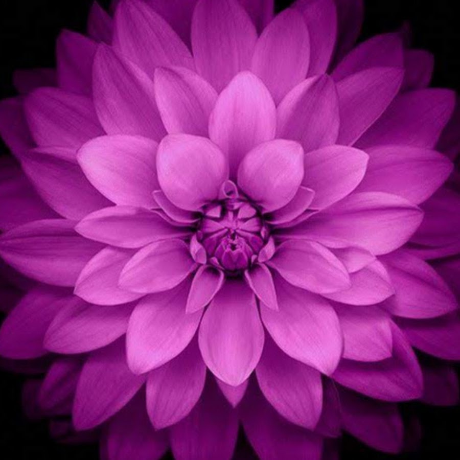 Why don't we just imagine - YouTube